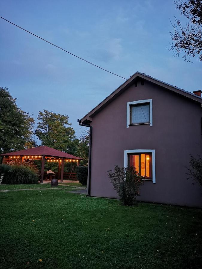 Kuca Za Odmor Rubic Villa Vinkovci Bagian luar foto